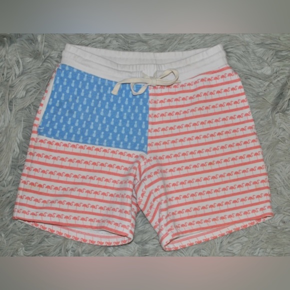 CHUBBIES American Flag Pineapple Flamingo Shorts 7" Inseam size S Mens - Picture 1 of 3